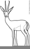 Black And White Animal Clipart For Teachers Image