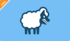 Sheep Image