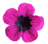 Pink Flower To Vector Clip Art