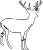 Deer White 2 Clip Art