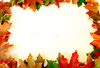Free Fall Leaf Clipart Image