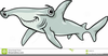 Hammerhead Shark Cartoon Clipart Image