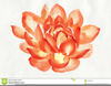 Pink And Orange Flower Clipart Image