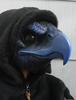 Crow Tengu Mask Image
