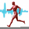 Cardiovascular Endurance Clipart Image