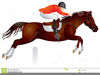Horse Jumping Fence Clipart Image