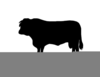 Black Angus Cattle Clipart Image