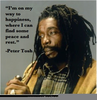 Peter Tosh Quotes Image