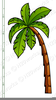 Palm Trees Clipart Image