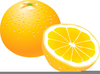 Orange Clipart Fruit Image