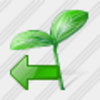 Icon Sprouts Import Image