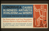 Gonorrhea Causes Blindness - Arthritis, Invalidism And Misery It Can Be Prevented And Cured : For Examination And Free Pamphlets Go To Your Doctor Or Dept. Of Health Clinic. Image