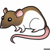 Rats Clipart Free Image