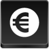 Euro Coin Icon Image