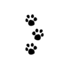 Free Clipart Of Bear Paws Image