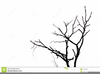 Vine Branches Vector Image
