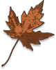 Brown Maple Leaf Clip Art