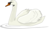 Swan Swimming Clip Art
