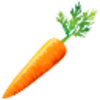 Carrot Icon Image