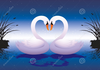 Loving Swans Image