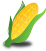 Corn Cub Clip Art