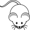 White Mouse Image