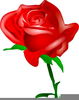 Red Rose Clipart Free Image