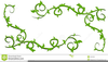 Vine And Branches Clipart Image