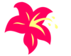 Bag Lily Blossom By Namuna Image