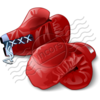 Boxing Gloves Red 4 Image