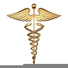 Army Medical Caduceus Clipart Image