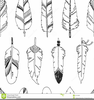 Native Feathers Clipart Image