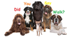 People Walking Dogs Clipart Image