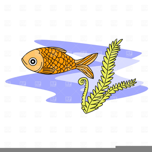 Algae Clipart Free | Free Images at Clker.com - vector clip art online