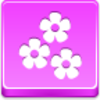 Free Pink Button Flowers Image