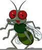 Fruit Fly Clipart Image