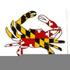 Maryland Crab Clipart Image