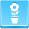 Pot Flower Icon Image