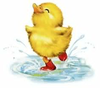 Duck In Rain Clipart Image