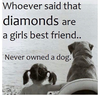 Dog Lover Quotes Image