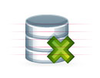 Webpro Database Delete Image