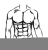 Six Pack Abs Clipart Image