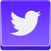 Twitter Bird Icon Image