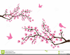 Pink Cherry Blossom Clipart Image