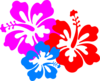Hibiscus Clip Art