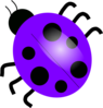 Purple Ladybugs Clip Art