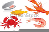 Shrimp Clipart Free Image
