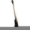 Electric Upright Bass Image