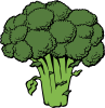 Broccoli Clip Art