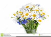 Free Clipart Daisy Bouquet Image